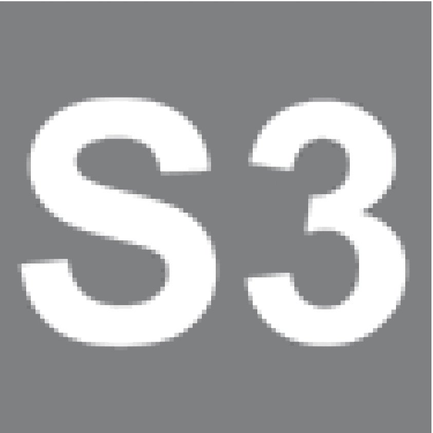 Einschnaller, Mittelhoher Sicherheits-Schlupfschuh für Schweißarbeiten S3, Farbe Schwarz, Größe 45
